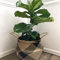 7WUNDERBAR Seegras Korb Blumentopf Stroh Blumenkorb Wäschekorb faltbar Aufbewahrungskorb groß mit Griff für Kinderzimmer Badezimmer (D#38CM*34CM)