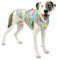 Kurgo Loft Hundejacke, wendbarer Wintermantel für Hunde, reflektierend, mit Geschirr zu tragen, wasserabweisend, für kleine, mittelgroße und große Haustiere (Aquarellstreifen, M)