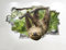 3D Wandaufkleber Faultier Wandtattoo 3D Look - Schlafzimmer Wohnzimmer Natur Tier Wandtattoo Z590