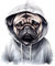 GRAZDesign Wandtattoo Hund Mops Pug Cooles Motiv für Wohnzimmer, Schlafzimmer, Jugendzimmer, Wandsticker als Wanddeko, Wandaufkleber - 68x57cm
