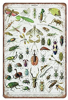 Insekten-Blechschilder, 1936, Vintage-Insektenkunst, antike Insekten-Käfer-Dekoration, lustiges Metallschild, Plaqu-Poster, Wandkunst, Kneipe, Bar, Küche, Garten, Badezimmer, Heimdekoration, 20 x 30 c