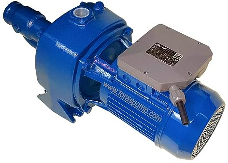 FORAS JA200 Selbstansaugende elektrische Kreiselpumpe, made in Italy, Dauerbetrieb, 230V, 2.22 kW, max. 90 L/min, 62.5m