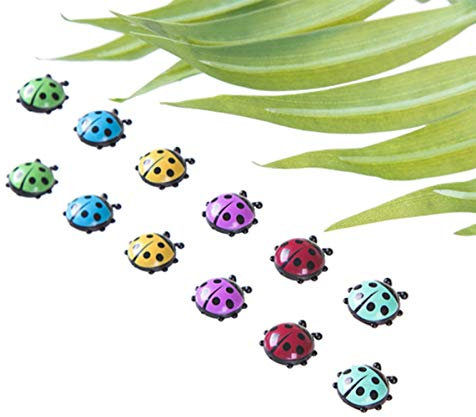 Decorative Refrigerator Magnets, Perfect Fridge Magnets for House Office Personal Use (12Pcs Ladybug)