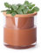 Phoenix Vine Pot de fleurs en terre cuite avec arrosage automatique de 10,2 cm pour plantes, pots de fleurs d'intérieur en terre cuite avec vase en verre