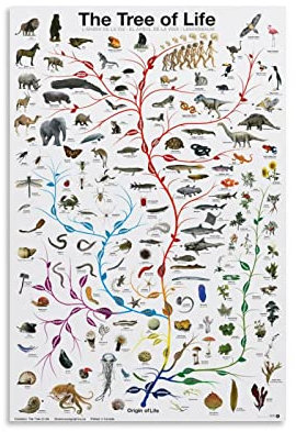 KEWORLAN Evolution The Tree of Life Eurographics Klassenzimmer-Poster, Leinwand, Wandkunst, Drucke für Wanddekoration, Schlafzimmer-Dekor, Geschenke, 30 x 45 cm, ungerahmen-style-4