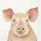 IHR Ideal Home Range - Papierservietten FARM PIG cream - Schwein 20 St. Lunch-Servietten 33 cm x 33 cm