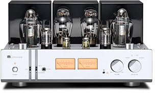 MUZISHARE X10 Pro KT170 Tube Amplifier HiFi Class A Single-Ended,MM Phono,Balaned,Power Amplifier with PRE in,28W*2, AC 115V/230V Optional