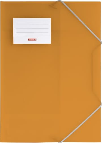 10X BRUNNEN Sammelmappe A4 FACT! orange