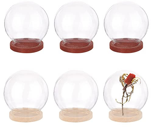 NBEADS 6 mini Cloche de Dôme en Verre de Fleur Éternelle, 24.7mm Dôme Rond en Verre avec Cloche en Verre Transparent avec Base en Bois pour Centres de Table Plantes Roche Spécimen Décor Travaux