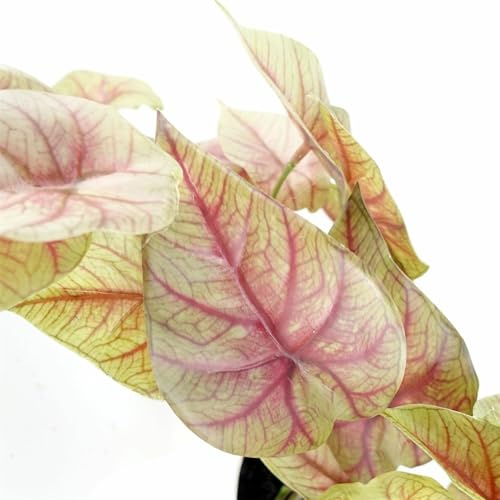 Botanik Artificial Office Plants, 30cm