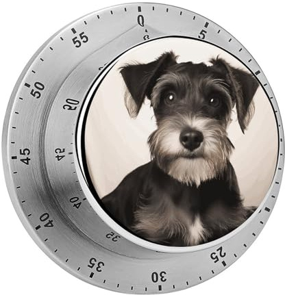 Minuteur mécanique de cuisine manuel de 60 minutes, minuteur puissant pour malentendants, pas besoin de piles, compte à rebours pour cuisine, salle de classe, salle de sport, maison