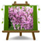 EURO PLANTS VIVAI Wisteria Brakybotrys Showa Beni Glicine Rosa Pastello - Piante Rampicanti su Vaso da 17 cm - Altezza 200 cm