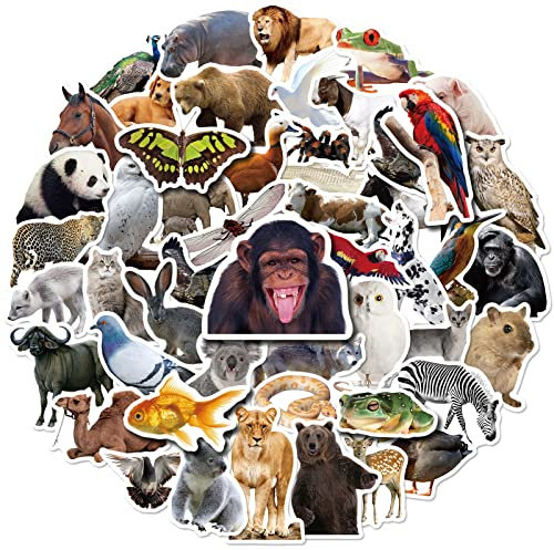 Mistree 50 Sticker Tiere Dschungel Für Kinder, Wasserfest, Tiere Sticker Für Kleinkinder 2-12 Jahre Alt