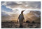 DIMAO Tier-Poster, Pinguin, Leinwand, Wand- und Kunstbild, 30 x 45 cm