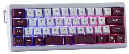 EPOMAKER TH40 Ultra-Compact à 40% Clavier Gaming Mécanique,Via,NKRO,Tri-Mode BT/2.4ghz,RVB,Gasket,Batterie 3000mah,Hot-Swap pour PC/Mac (Violet, Flamingo Switch)