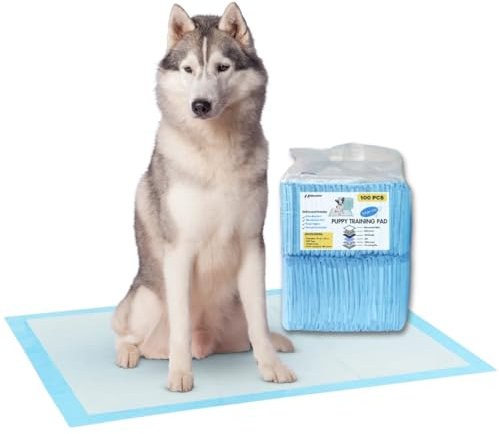 Fazlanix PIPI Matten für Hunde,60 Stück, 60x90cm Trainingspads , Hundetoilette Unterlagen, Wickelunterlagen Einweg,Super saugfähig, auslaufsicher, 6-Schichten, ideal für Welpen & ältere Hunde