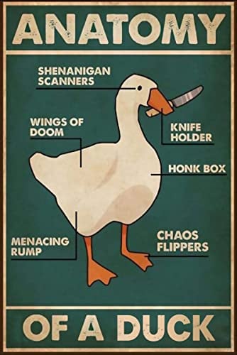 Duck Knowledge Metall-Blechschild Anatomie einer Ente, Retro-Poster, Restaurant, Café, Wohnzimmer, Küche, Badezimmer, Zuhause, Kunst, Wanddekoration, Geschenk, 20,3 x 30,5 cm