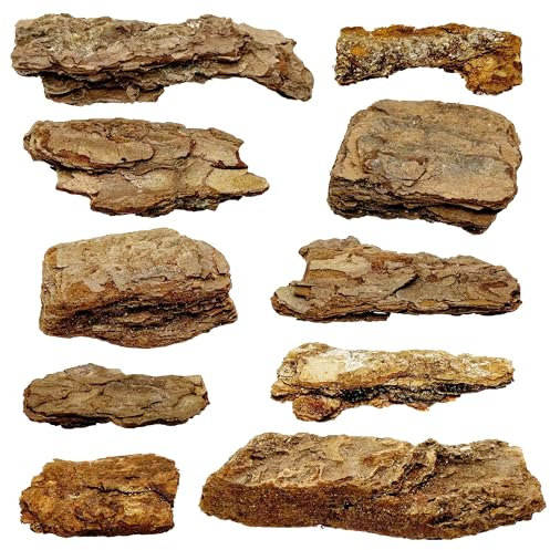 Cayway Diorama Supplies Kit, Model Scenery Tree Bark Miniature Bark Diorama Materials Miniature Terrain, Mountain Rock Material Model for Train Landscape Railway