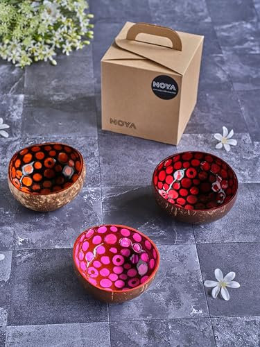 Noya Juego de 3 cuencos de coco de colores surtidos, D14 Cm