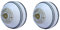 CW Spin White Cricket-Bälle, Poly-Soft-Bälle, für Training, Sport, Training, 2 Stück
