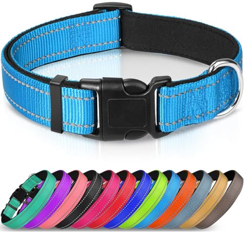 Joytale Halsband Hund, Gepolstertes Hundehalsband Breit aus Neopren Nylon Hundehalsband Verstellbar für Große Hunde, Weich und Reflektierend Hundehalsbänder, XL, Blau
