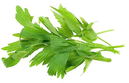 500 Pezzi Semi Di Levistico Resistente, Pianta Di Levistico Semi Di Erbe Selvatiche, Piante Da Giardino (Levistico Officinale) Spezie Indiane, Balcone Serra Cucina Del Giardino Delle
