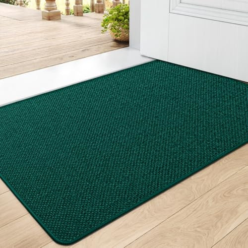 DEXI Fußmatte Innen 44 x 75cm, rutschfest Schmutzfangmatte, waschbar Fussmatte, Dünne Eingangstürmatte, Strapazierfähige Türmatte für Innenbereich, Grün