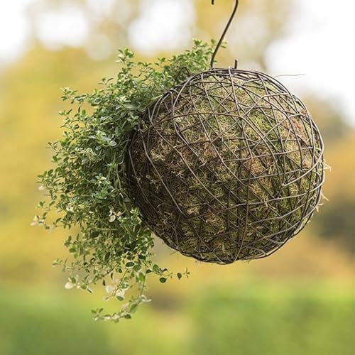 Crocus Collection 16cm Hanging Wire Ball Living Sculpture Garden Ornament Rustic Outdoor Chic Decoration