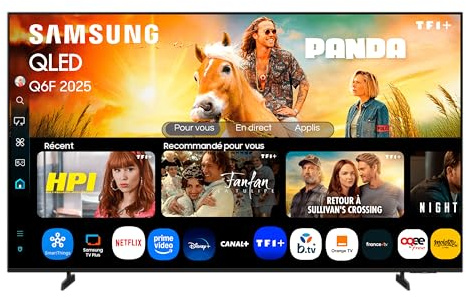 Samsung TV 65 Pulgadas QLED Q6F 4K Smart TV con Vision AI, 100% Volumen de Color con Quantum Dot y más de 500 Canales