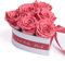 ROSEMARIE SCHULZ Heidelberg Infinity Herz Rosenbox Ich Liebe Dich - 6 korall-rote Rosen konserviert 15x10cm - Valentinstag für Sie Rose Geschenk für Freundin (Korall, Medium)
