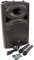 QTX , QR12BT PA: Powerful Portable PA with Bluetooth Connectivity, Two Wireless Mics, Internal Rechargeable Battery, Trolley Handle and Wheels
