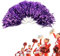 DEWIN Cheerleading Poms, 6 Stück Sport Pompons Cheer Party Tanzzubehör Tool für Sporttreffen Stadion Party Urlaub Feiern (Lila)