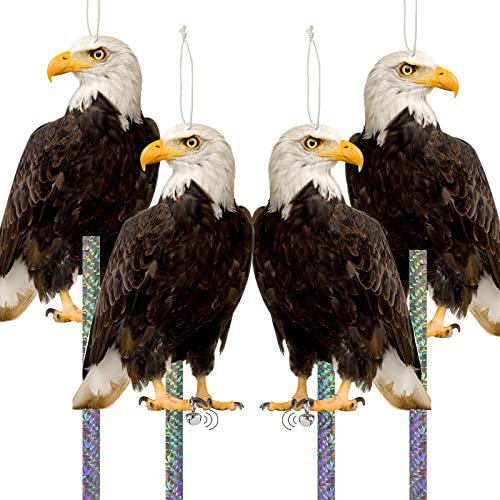 Espanta Pajaros Exterior, áGuila Espanta Palomas, Espantapajaros, Ahuyentador de Pajaros, áGuila Espantapajaros, Espanta Palomas, Antipalomas, Ahuyentar Palomas, Espantapajaros Balcón 4 Piezas Cartón