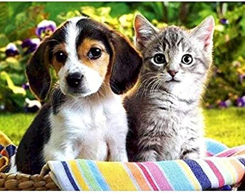 VAKUUM Malen nach Zahlen Kit für Erwachsene Kinder Anfänger Segelschiff auf See DIY Leinwand Malen nach Zahlen für Heimdekoration 40 * 50CM