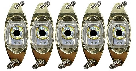5 Teiliges LED Angelköder Licht, Tiefes Tropfen Angellicht, Angellöffel Diamantlichter Schleppköder Unterwasser Angeln Blinklicht für Salzwasser und Süßwasser