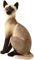 nonotse Toys Soft Toys Stofftiere Katze getigertes Stofftier Plüsch Realistisches Leben wie kleine Katzen Niedliches Plüschspielzeug für Haustier (Siamkatze, 35cm)