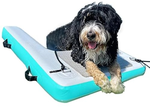 Scaletta per cani da barca Rampa Di Fuga Pieghevole Portatile Per Animali Domestici, Piscina Rampa D'acqua Piscina Interrata Scale Gonfiabili Galleggianti Per Cani E Cani Di Piccola Taglia(Green,LxWxH