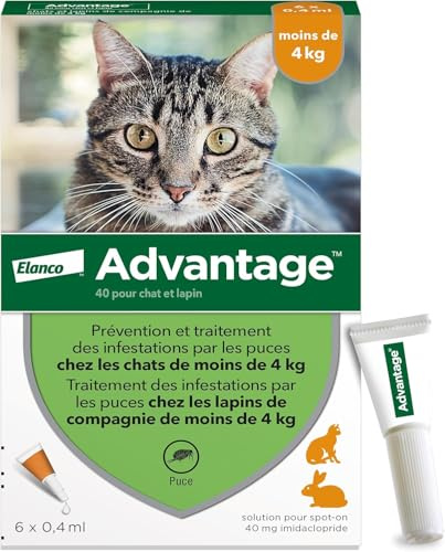 Advantage Chat & Lapin de moins de 4 kg – Pipettes anti puces chat pour prévention des infestations – Traitement anti puces lapin pour une protection en continu pendant 3 à 4 semaines – 6 x 0,4 ml