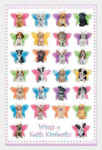 empireposter Kimberlin, Keith - Wings Dogs - Tier-Poster Hunde - Grösse 61x91,5 cm + Wechselrahmen, Shinsuke® Maxi MDF Weiss, Acryl-Scheibe