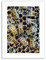 Wee Blue Coo MACRO INSECTS BEES HONEY HIVE HONEYCOMB BUGS APIARY Poster Canvas art Prints