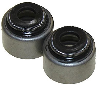 Lot de 2 joints Tige de soupape pour Yamaha SR TW 125