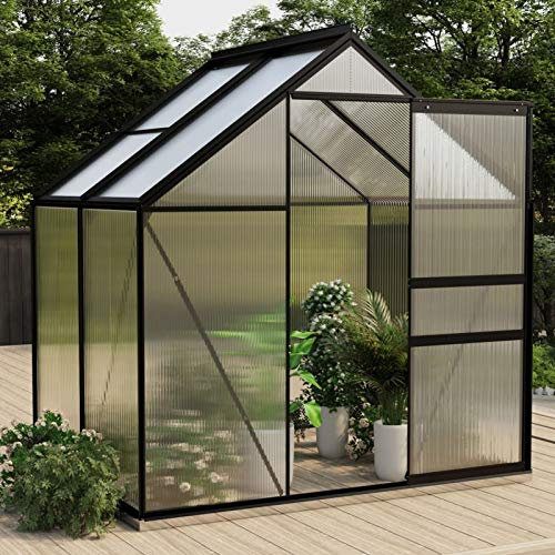 Tidyard Serre de Jardin Serre de Plantes Résistance aux UV Anthracite Aluminium 2,47 m²