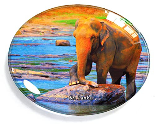 Sri Lanka Magnet für Kühlschrank, Kühlschrank, Gefrierschrank, Magnet, Souvenir, Dekorationen, oval, Kristallmagnet, Küche, Whiteboard