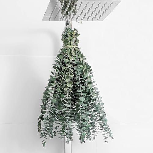 Uhky 9 Pcs Dried Eucalyptus Plant 17 inch Real Eucalyptus Stems for Wedding Party Shower DIY Home Decor Artificial Plants (Green)