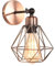 TOKIUS Wandlampe Vintage 16CM Wandleuchte Innen im Industrial Design Retro E27 Lampe aus Eisen Käfig Lampenschirm Verstellbare Deckenleuchte für Flur Wohnzimmer Schlafzimmer (1 Stück, Kupferrost)