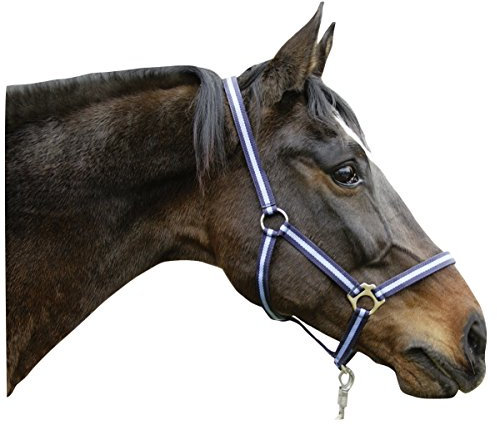 Kerbl Nylonhalfter Hippo, Halfter Nylon Shetty, Marine/Hellblau