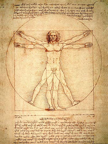 1art1 Leonardo Da Vinci Poster Vitruvianischer Mensch, Circa 1490 Kunstdruck Bild 80x60 cm