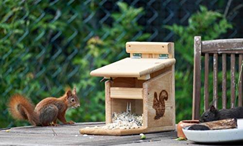 XXXL Echhörnchen Kobel/Futterhaus aus hochwertigem Lärchenholz, deutsches Qualitätsprodukt, von Hand gefertigt im Bayerischen Wald (Premium Futterhaus naturbelassen)