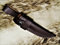 Leder Hüllen, Messer Hand verarbeitet, für Nicker klinge 10cm -11cm 4299