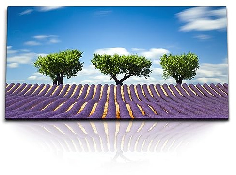Paul Sinus Kunstdruck Bilder 120x60cm Lavendelfeld Lavendel Bäume Landschaft blauer Himmel